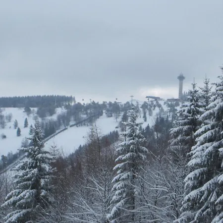 Ferienwohnung In Der Naehe Des Skigebietes Apartment