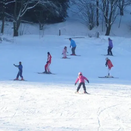 Ferienwohnung In Der Naehe Des Skigebietes * Willingen (Upland)