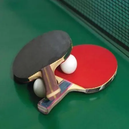 Apartment Ferienwohnung In Der Naehe Des Skigebietes *