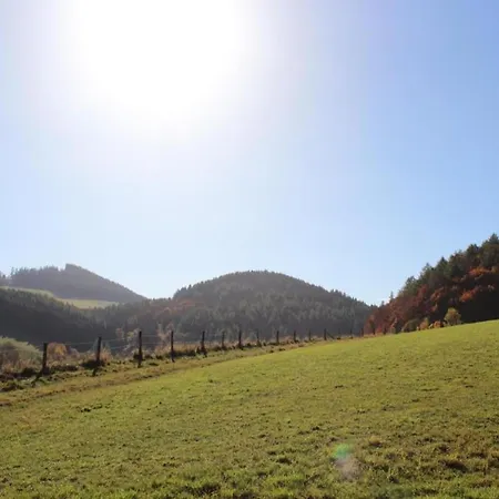 Ferienwohnung In Der Naehe Des Skigebietes * Willingen (Upland)