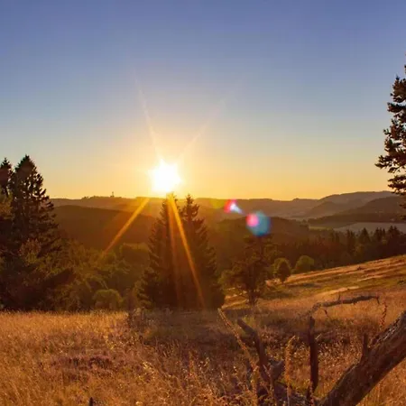 Ferienwohnung In Der Naehe Des Skigebietes Apartment