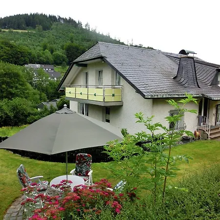 Apartment Ferienwohnung In Der Naehe Des Skigebietes Willingen (Upland)