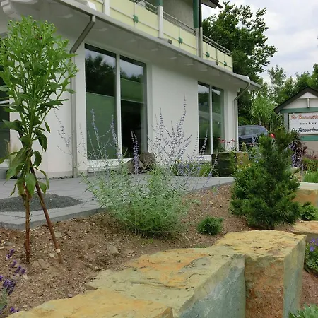 Apartment Ferienwohnung In Der Naehe Des Skigebietes