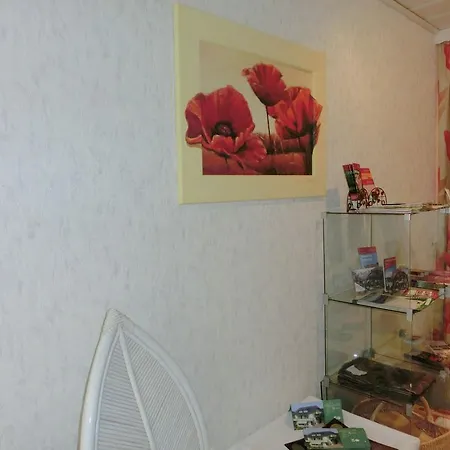 Apartment Ferienwohnung In Der Naehe Des Skigebietes Willingen (Upland)