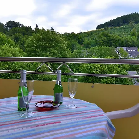 Ferienwohnung In Der Naehe Des Skigebietes