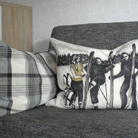 Ferienwohnung In Der Naehe Des Skigebietes Apartment