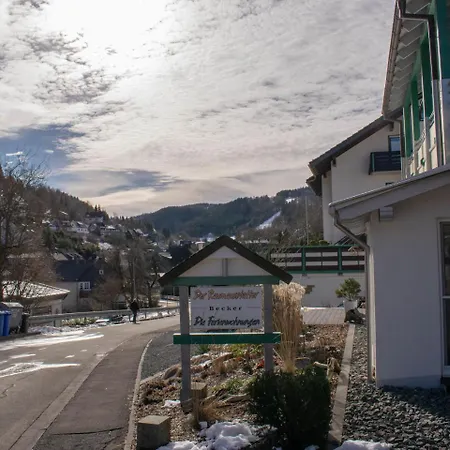 Apartment Ferienwohnung In Der Naehe Des Skigebietes *