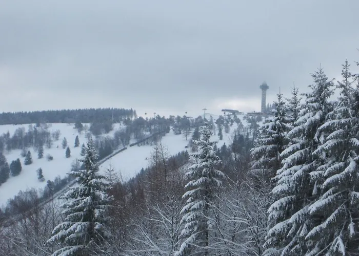 In Der Naehe Des Skigebietes Appartement