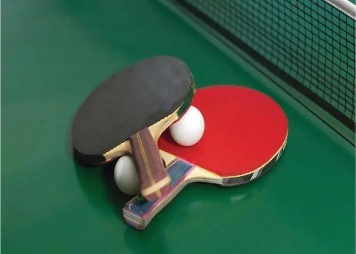 Appartement In Der Naehe Des Skigebietes *