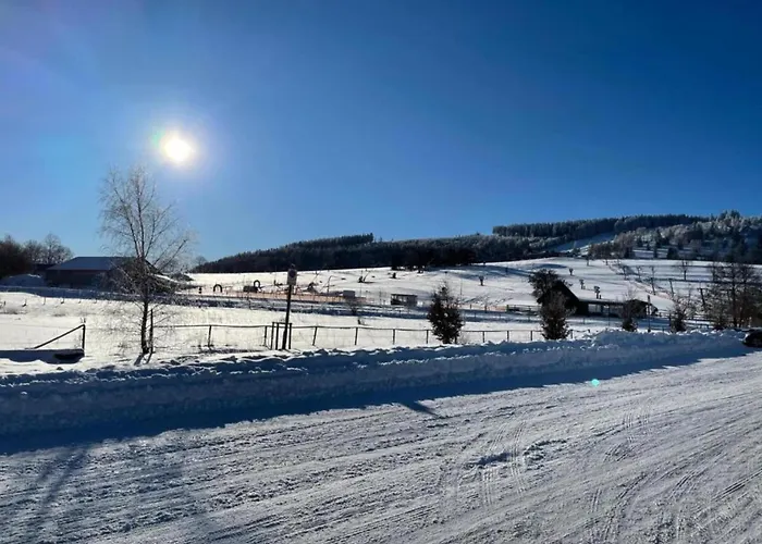 In Der Naehe Des Skigebietes Willingen (Upland)