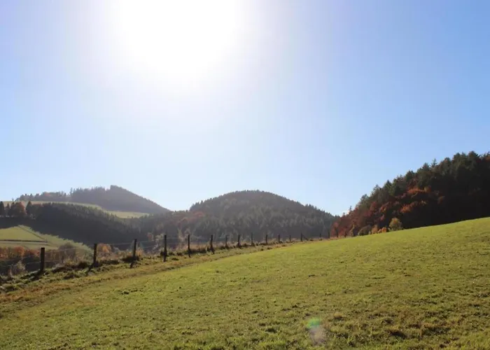 In Der Naehe Des Skigebietes * Willingen (Upland)