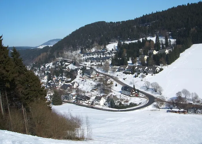 In Der Naehe Des Skigebietes Appartement Willingen (Upland)