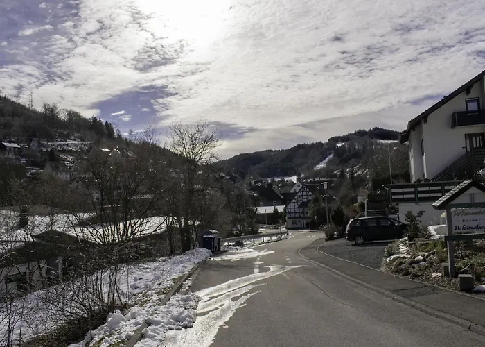 In Der Naehe Des Skigebietes Appartement